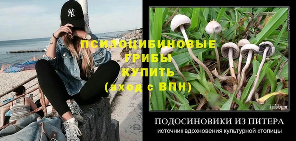 амф Абинск